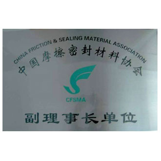 Vice Chairman of China Friction and Sealing Materials Association